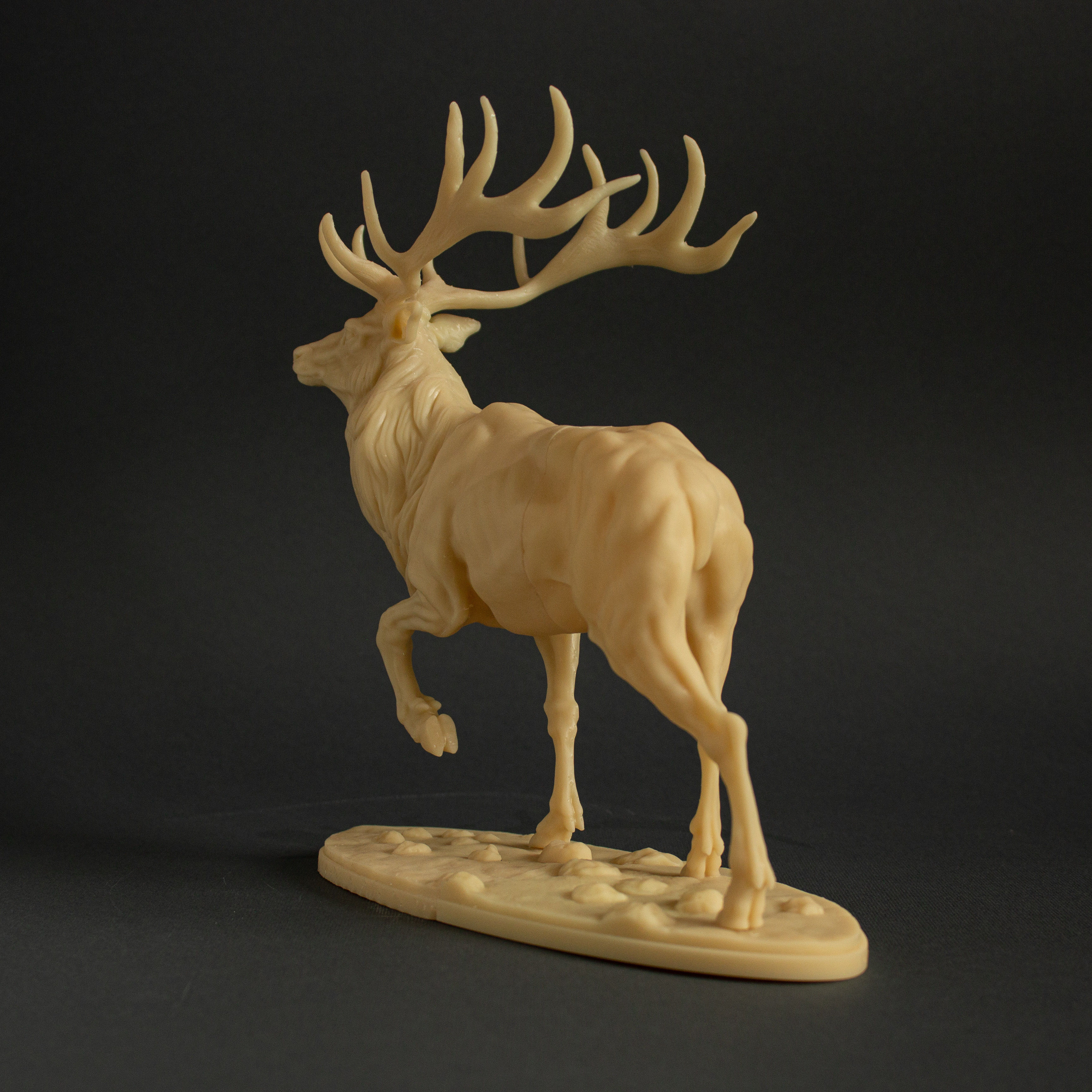 Elk for 3D Printing 3D print model_4