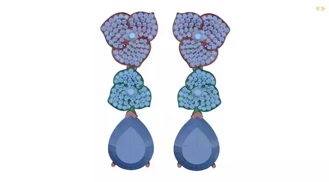 earring pair of earrings with stones