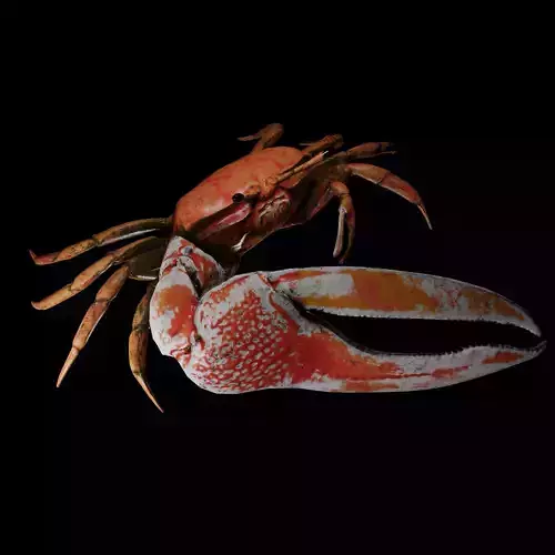 Crab Low Poly with PBR Textures Low-poly 3D model