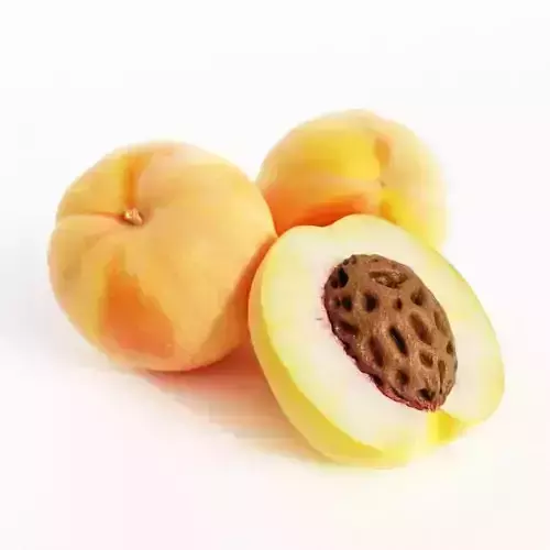 White Fuzzy Peach 3D model