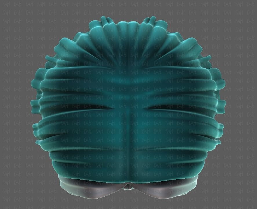 3D Hair style for girl V99 Low-poly 3D model_33