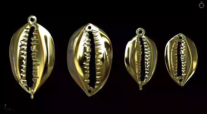 Cowry Shell Collection