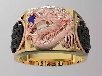 Dragon ring4
