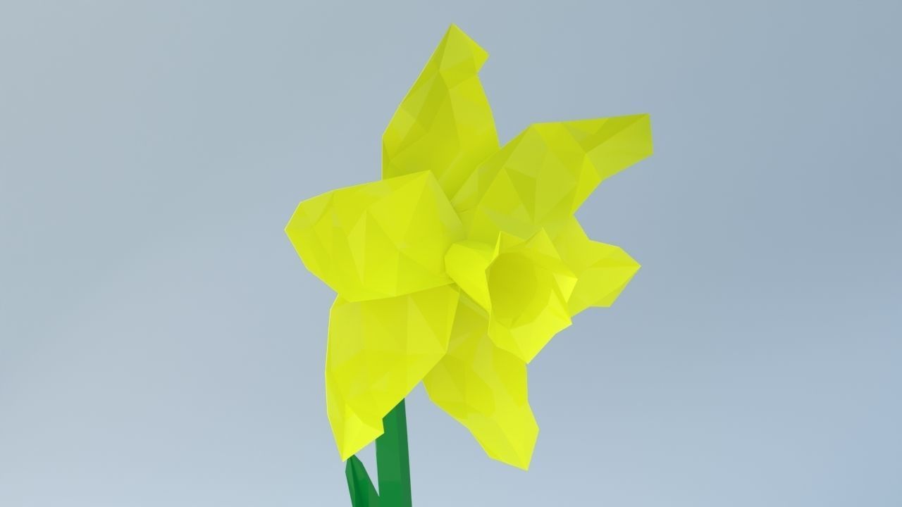 An Easter Daffodil with a Low poly look Low-poly 3D model_8