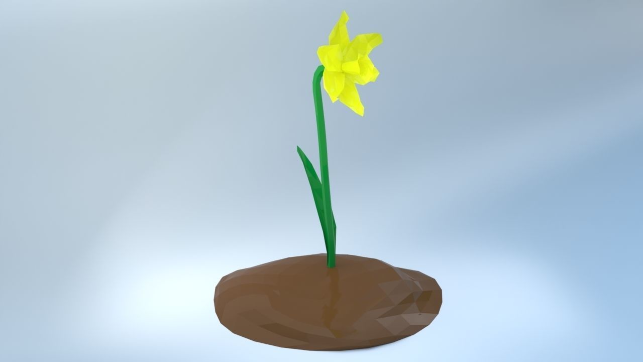 An Easter Daffodil with a Low poly look Low-poly 3D model_4