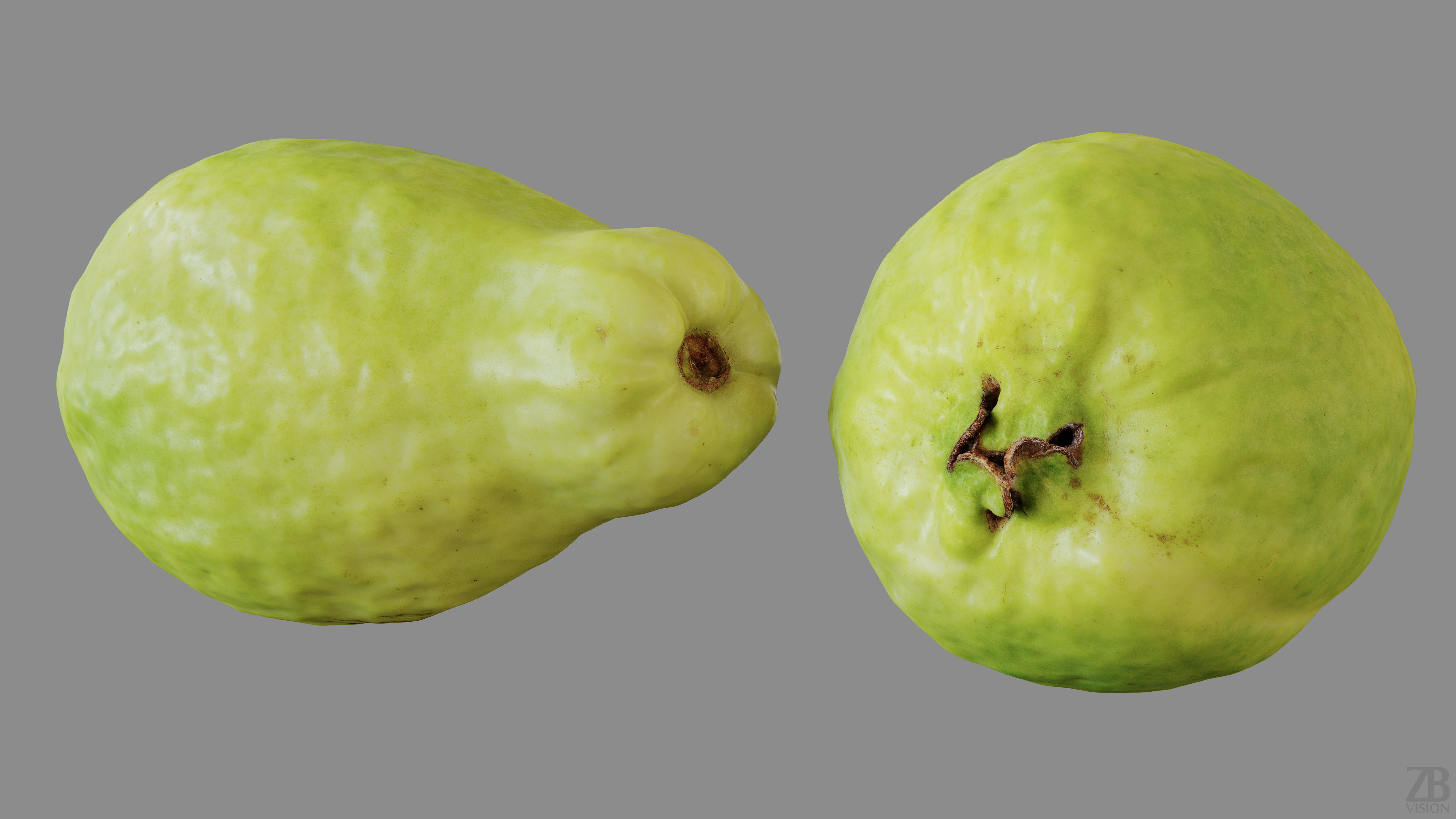 Guava 3D model_12