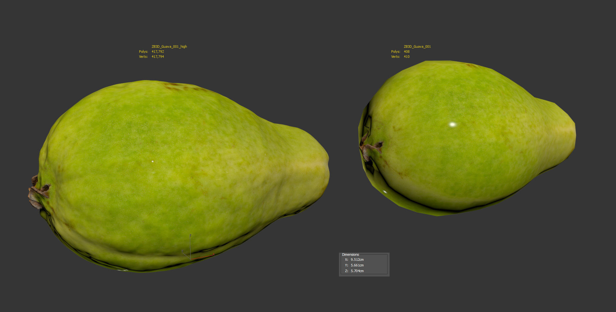 Guava 3D model_8