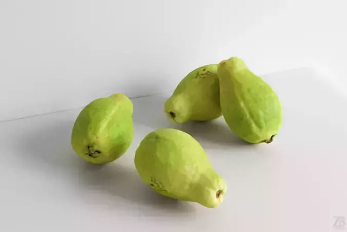 Guava 3D model