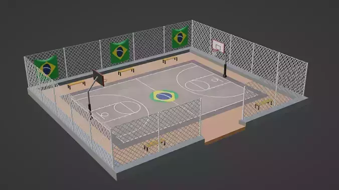 Basketball Stadium - Brazil