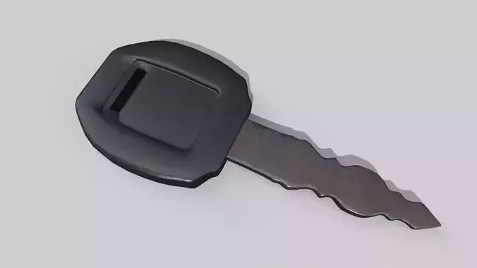 Vehicle Key