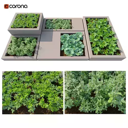 Roof Garden Set