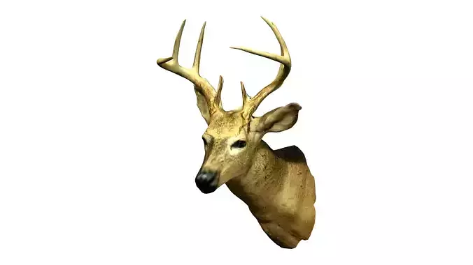 Wall Hanging Buck Deer Bust