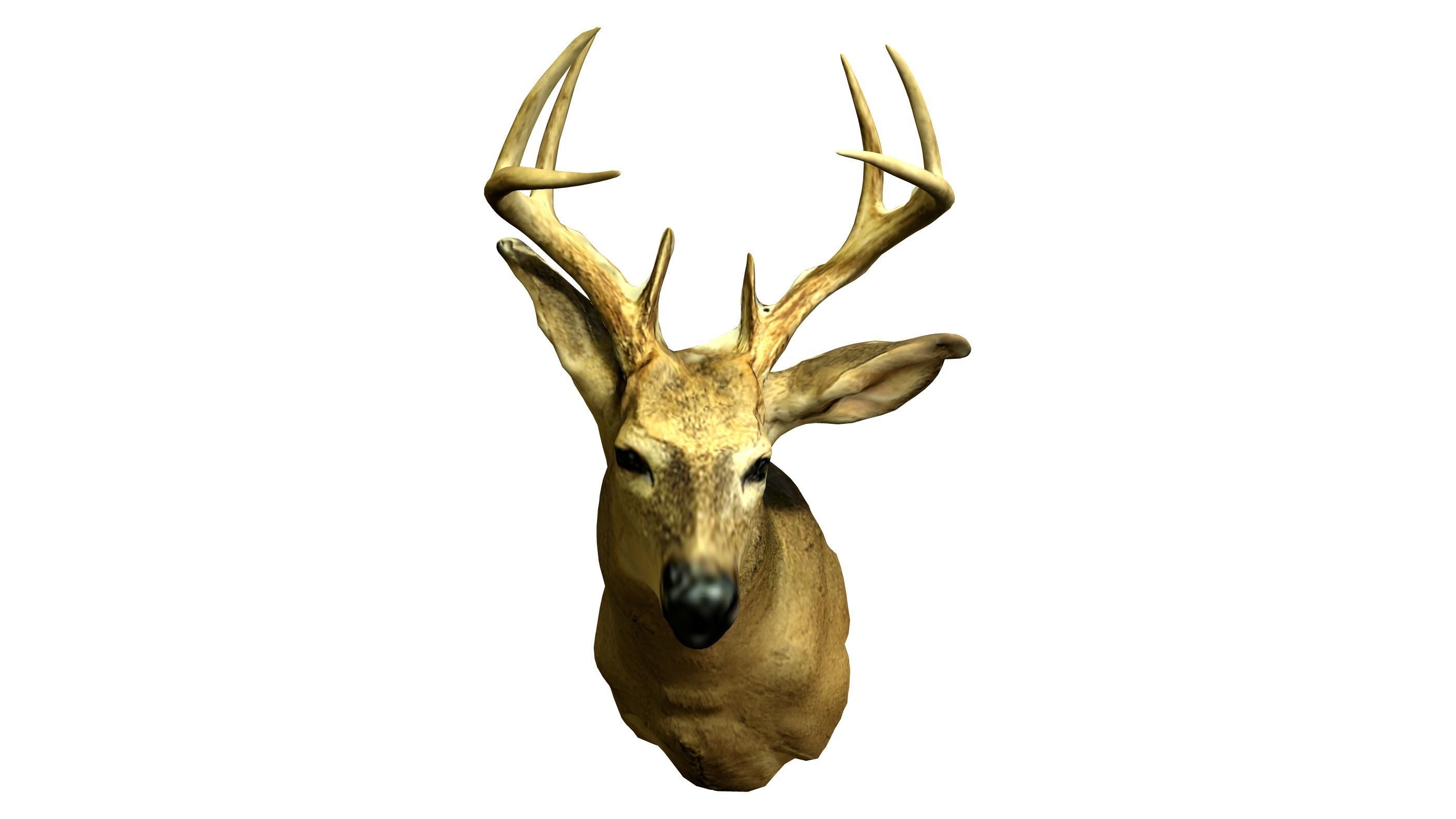Wall Hanging Buck Deer Bust Low-poly 3D model_2