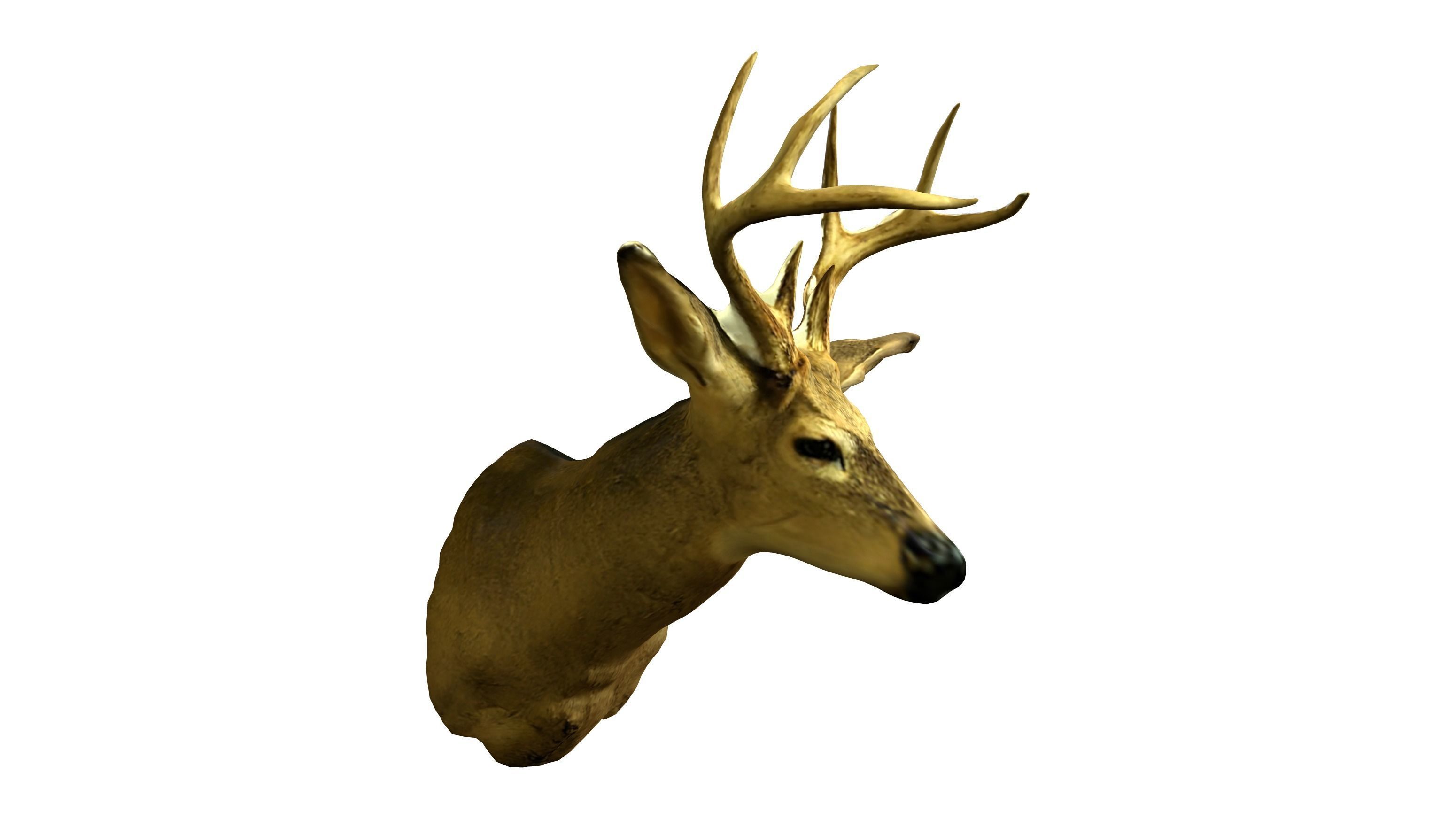 Wall Hanging Buck Deer Bust Low-poly 3D model_4