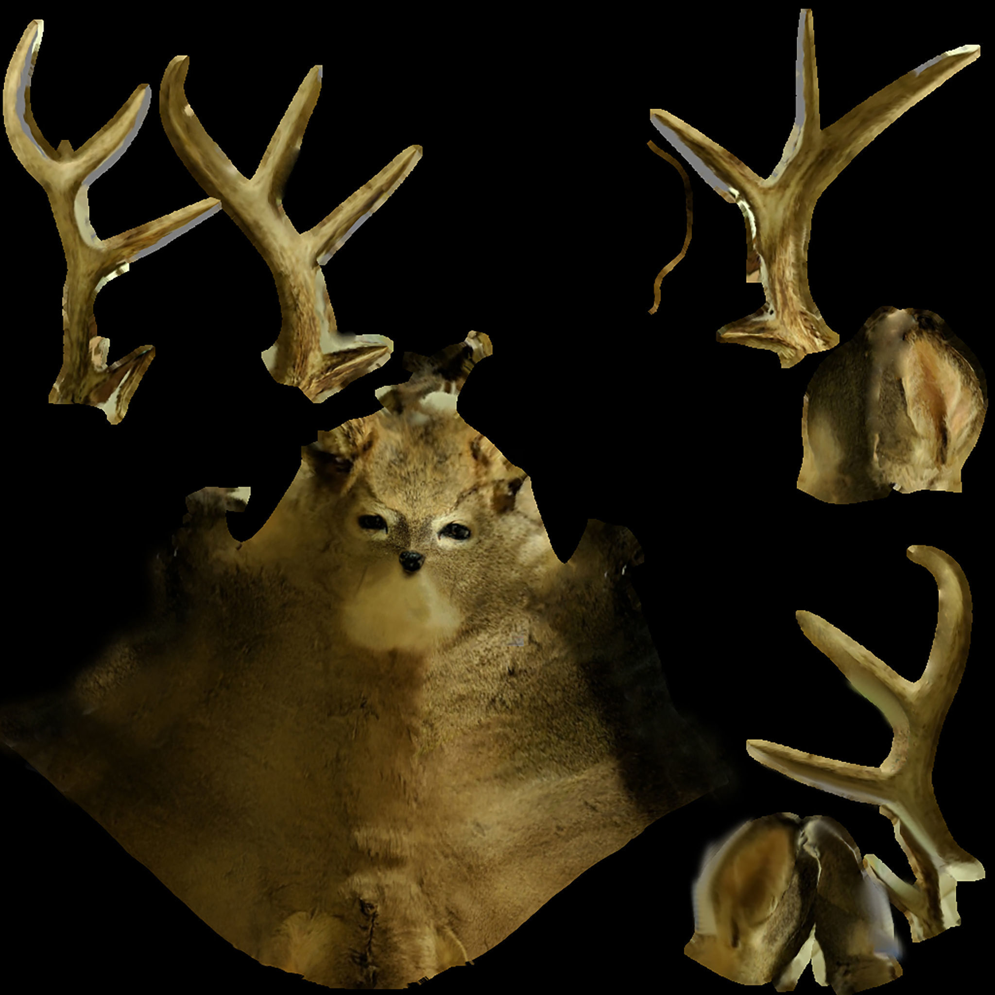 Wall Hanging Buck Deer Bust Low-poly 3D model_9