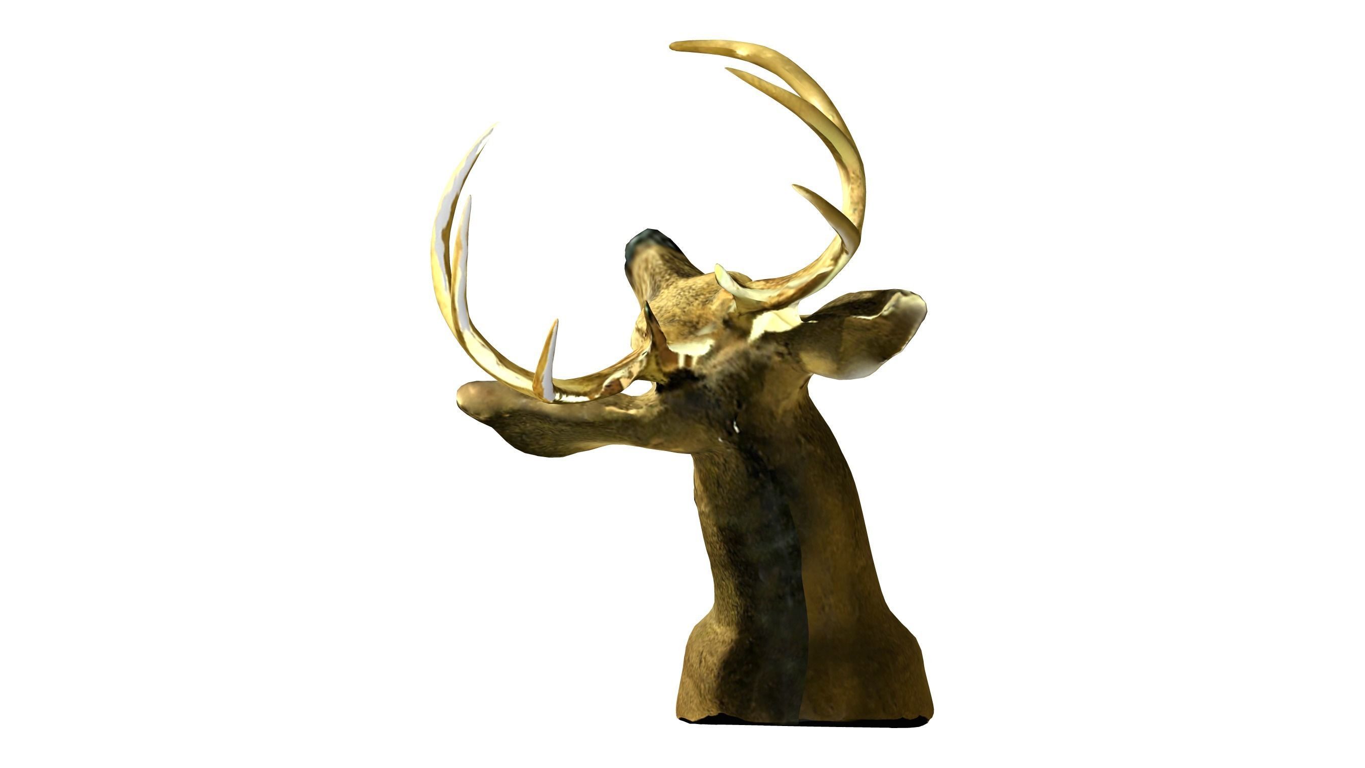 Wall Hanging Buck Deer Bust Low-poly 3D model_5