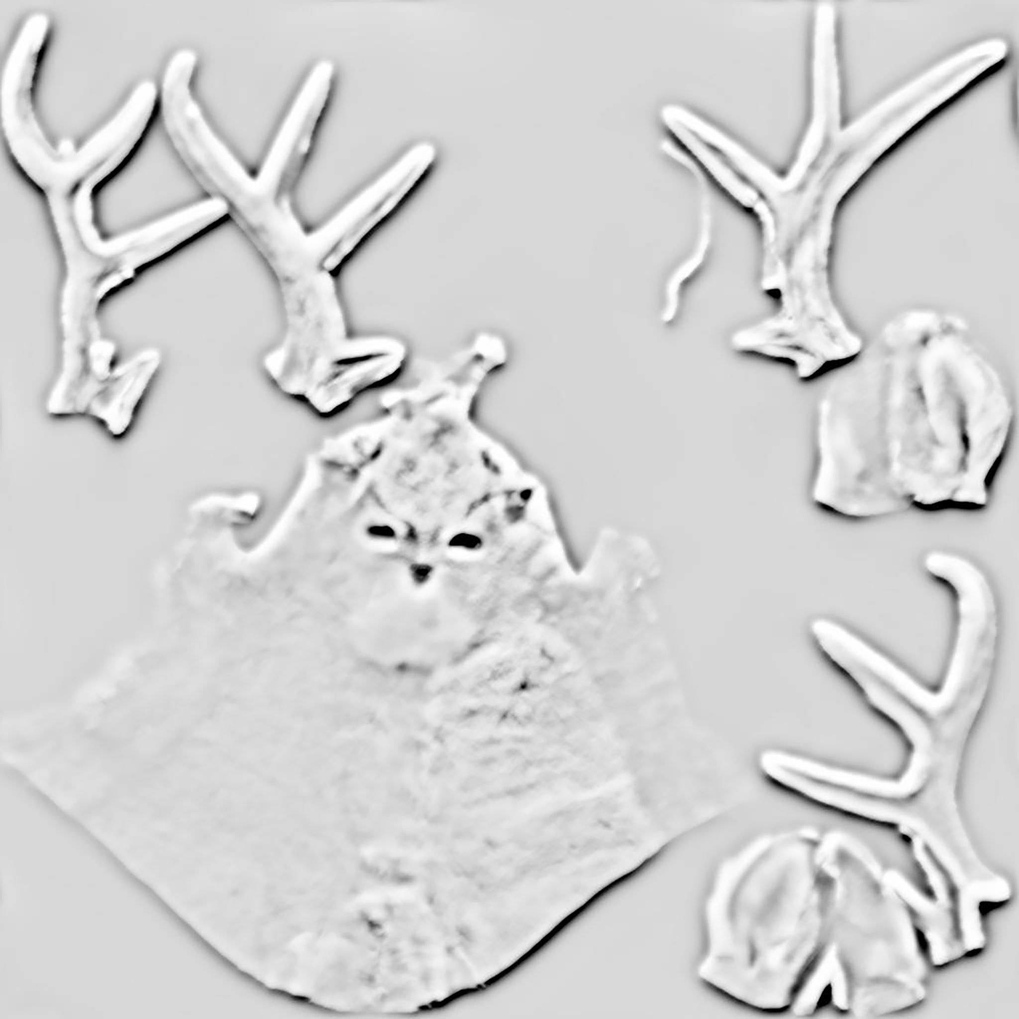 Wall Hanging Buck Deer Bust Low-poly 3D model_10
