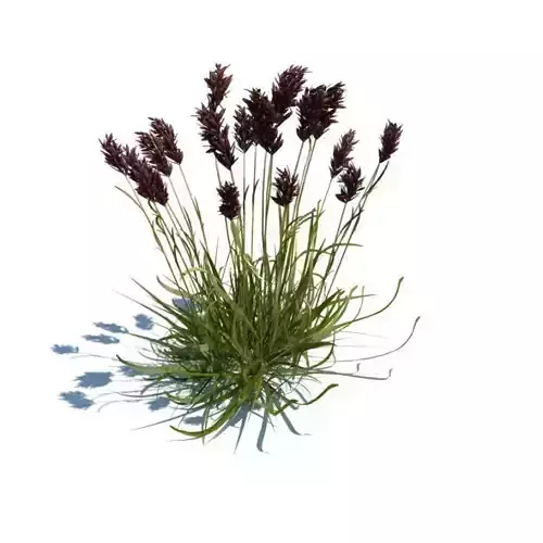 Green Stemmed Flower