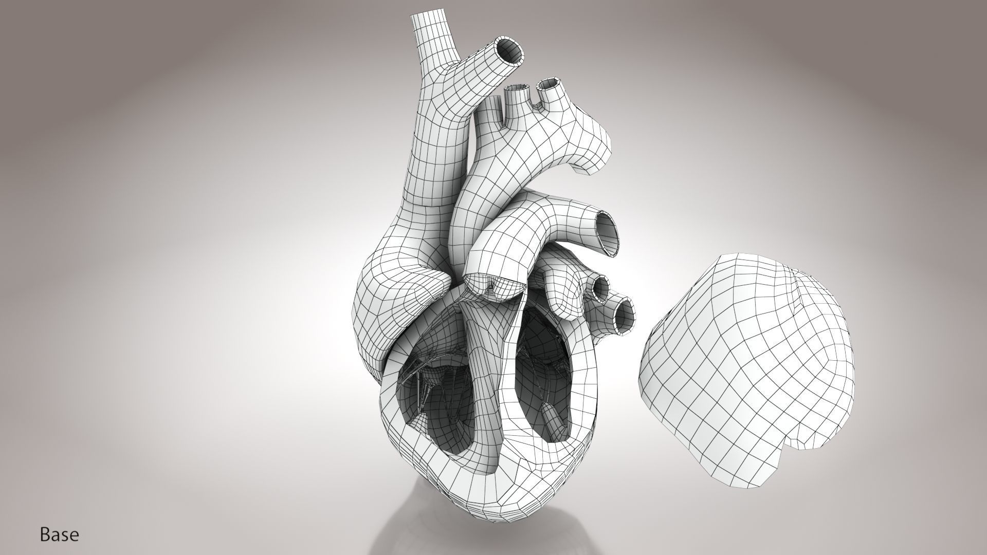 Animated Human Heart Anatomy 8K with cross-section Low-poly 3D model_25