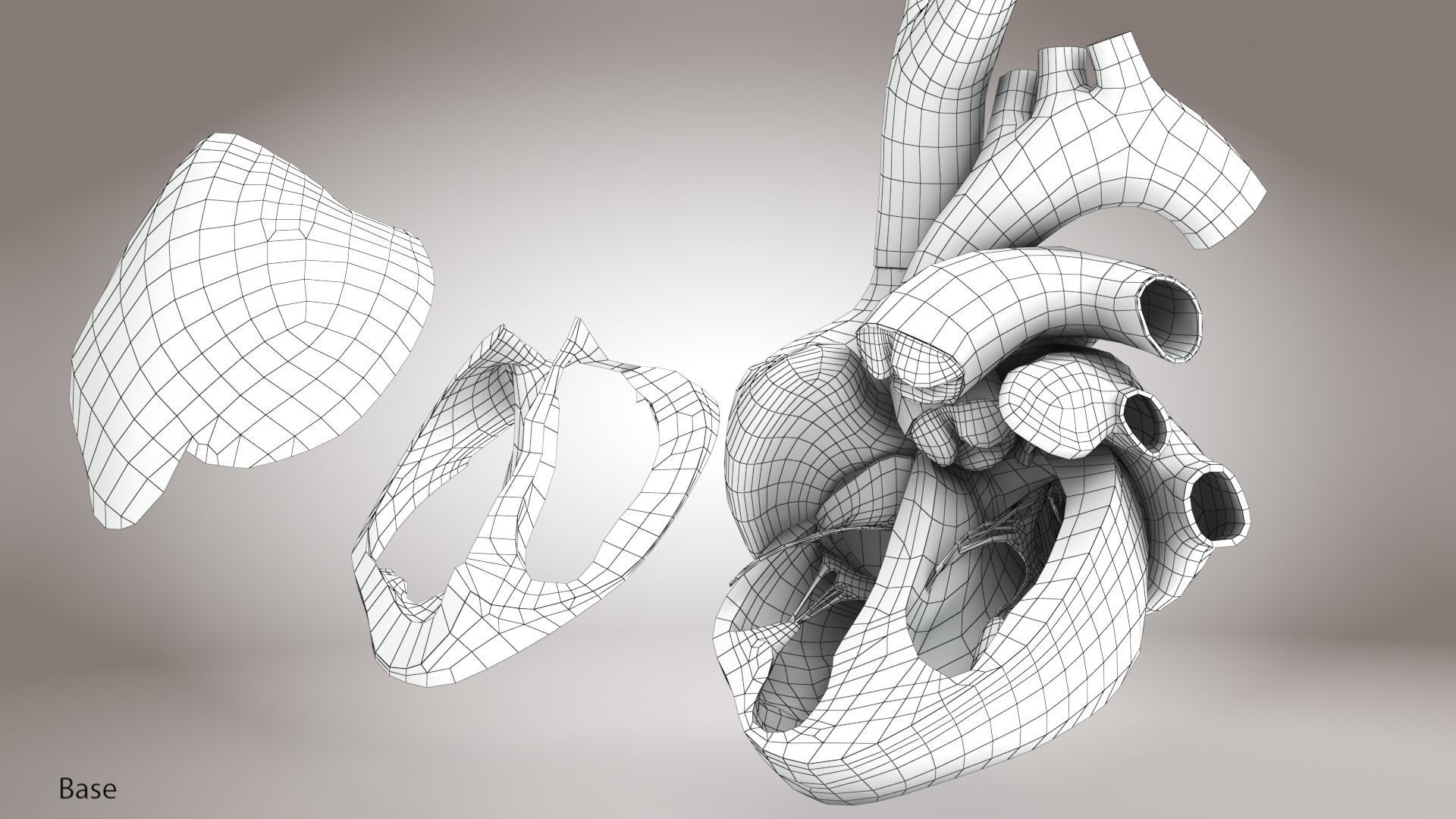 Animated Human Heart Anatomy 8K with cross-section Low-poly 3D model_27