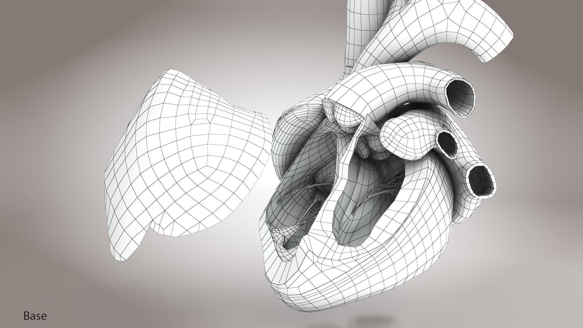Animated Human Heart Anatomy 8K with cross-section Low-poly 3D model_28