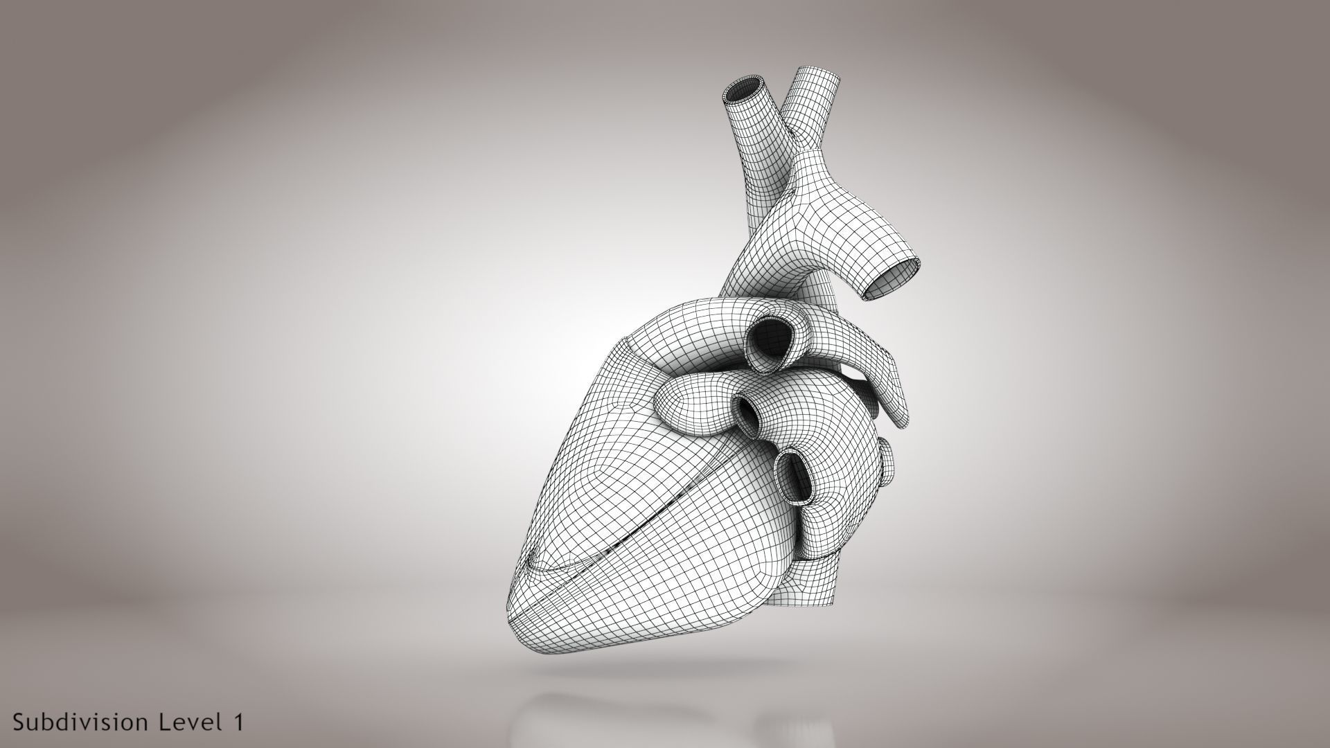 Animated Human Heart Anatomy 8K with cross-section Low-poly 3D model_46