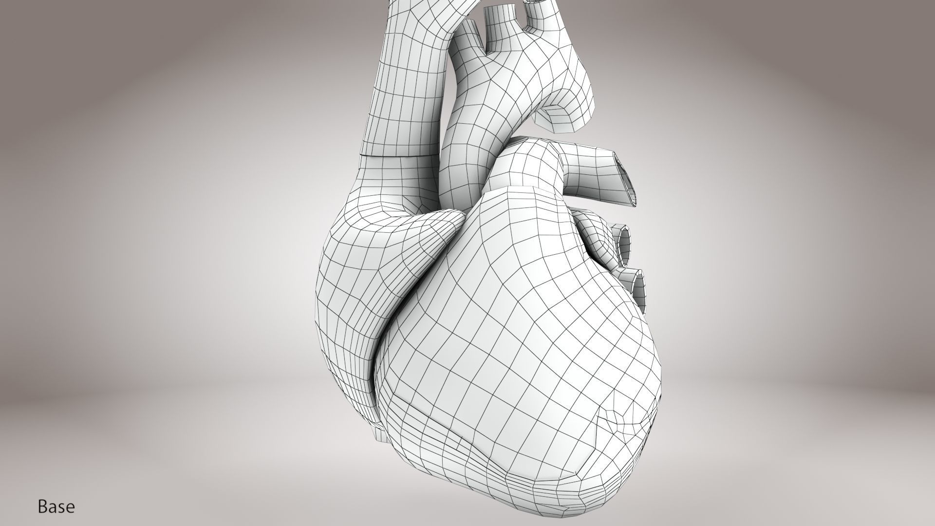 Animated Human Heart Anatomy 8K with cross-section Low-poly 3D model_31