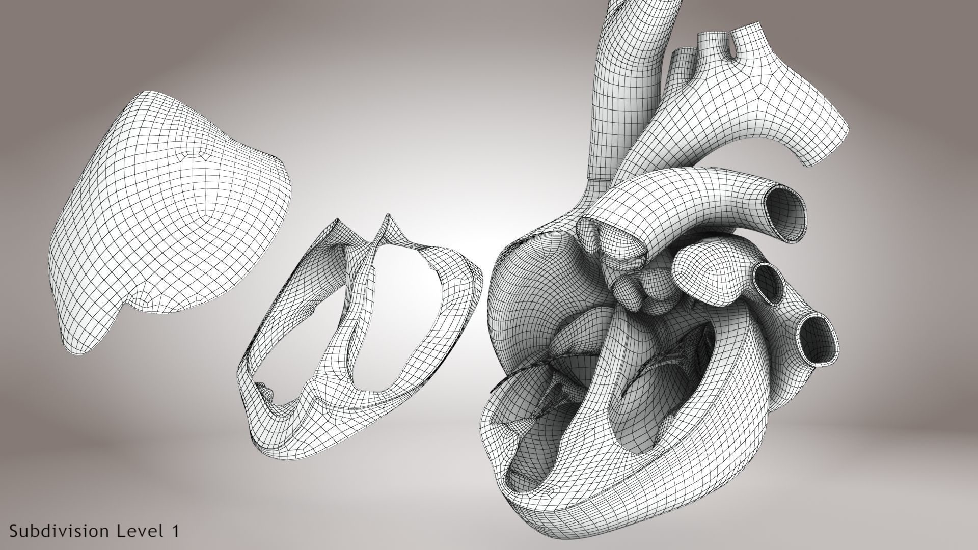 Animated Human Heart Anatomy 8K with cross-section Low-poly 3D model_29