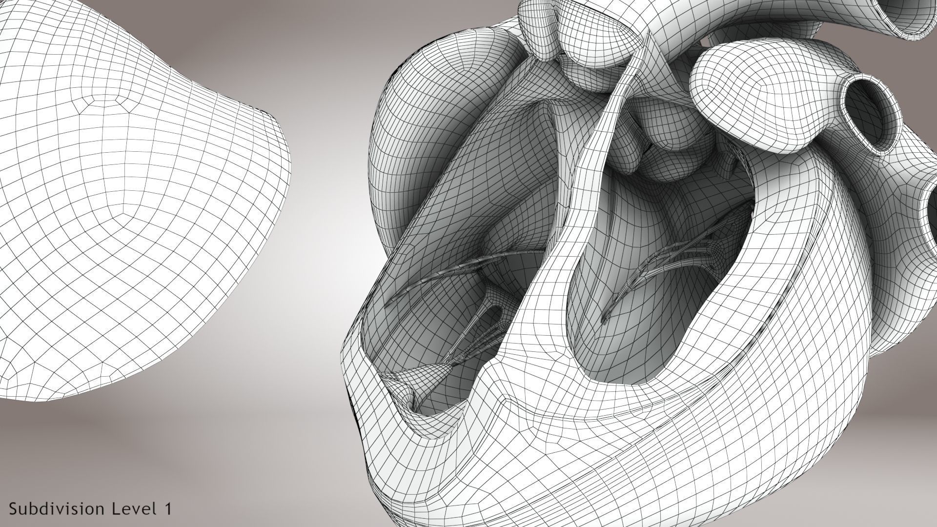 Animated Human Heart Anatomy 8K with cross-section Low-poly 3D model_52