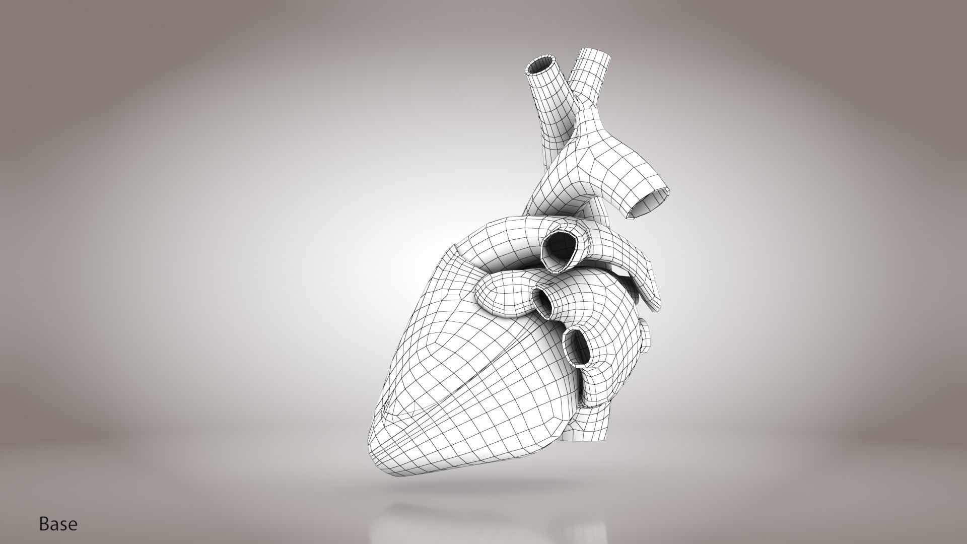Animated Human Heart Anatomy 8K with cross-section Low-poly 3D model_44