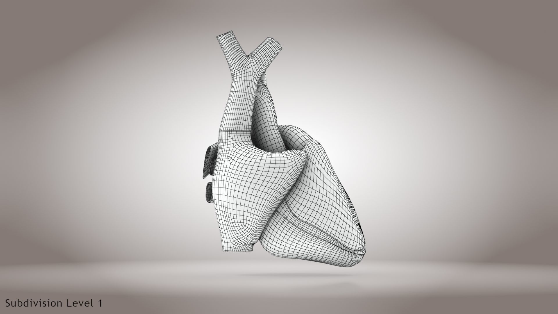 Animated Human Heart Anatomy 8K with cross-section Low-poly 3D model_43