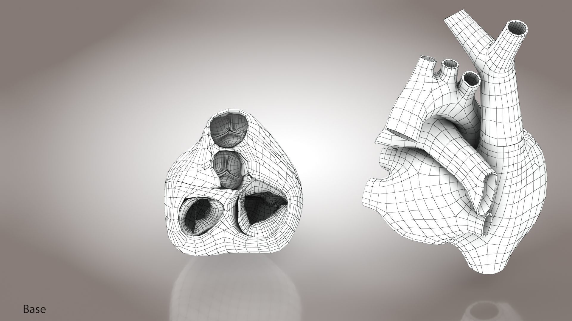 Animated Human Heart Anatomy 8K with cross-section Low-poly 3D model_55