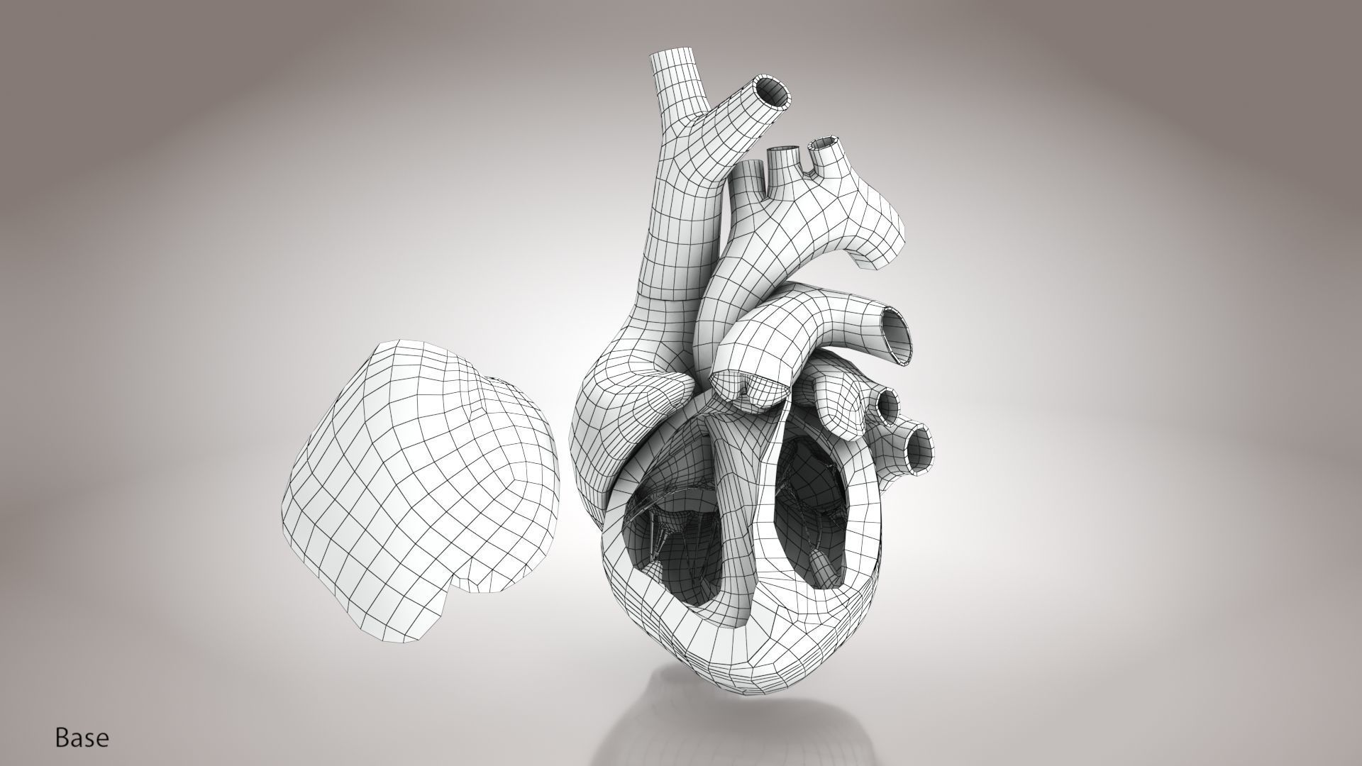 Animated Human Heart Anatomy 8K with cross-section Low-poly 3D model_49