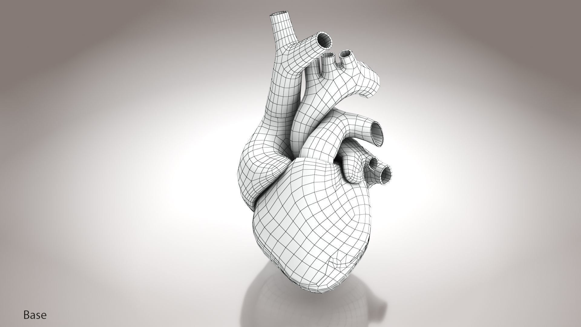 Animated Human Heart Anatomy 8K with cross-section Low-poly 3D model_47