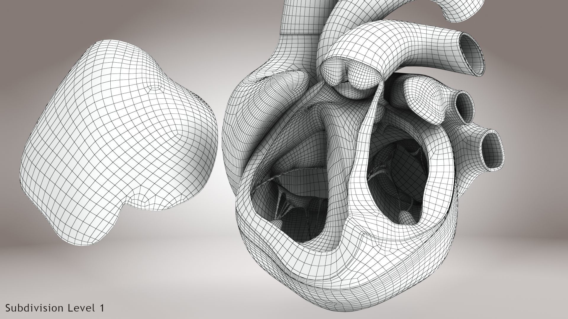 Animated Human Heart Anatomy 8K with cross-section Low-poly 3D model_26