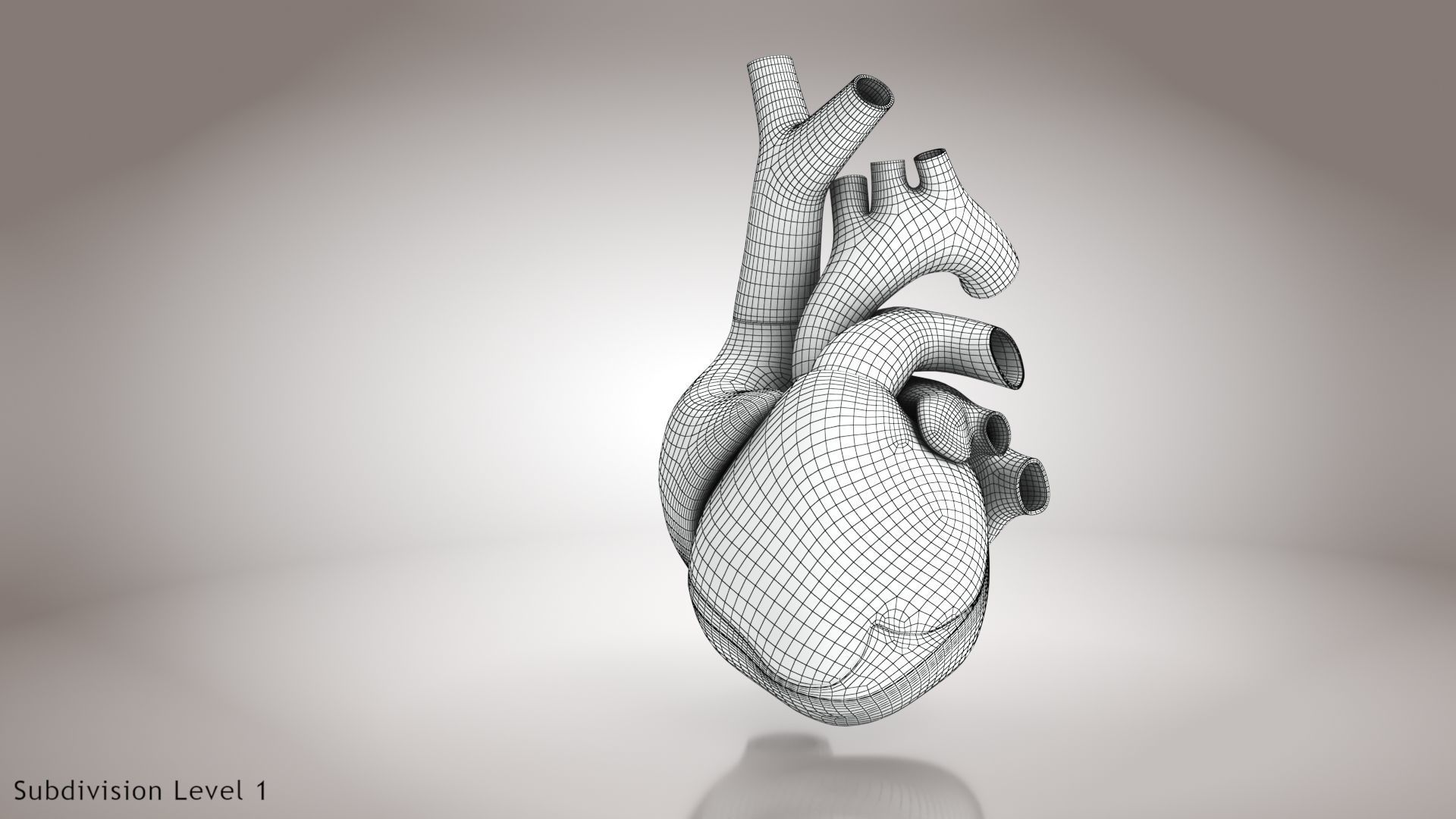 Animated Human Heart Anatomy 8K with cross-section Low-poly 3D model_41
