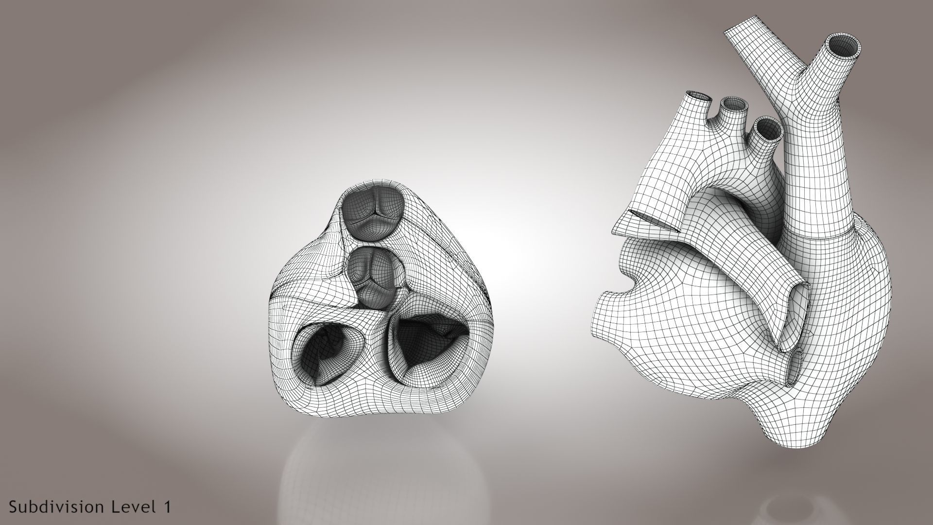 Animated Human Heart Anatomy 8K with cross-section Low-poly 3D model_56