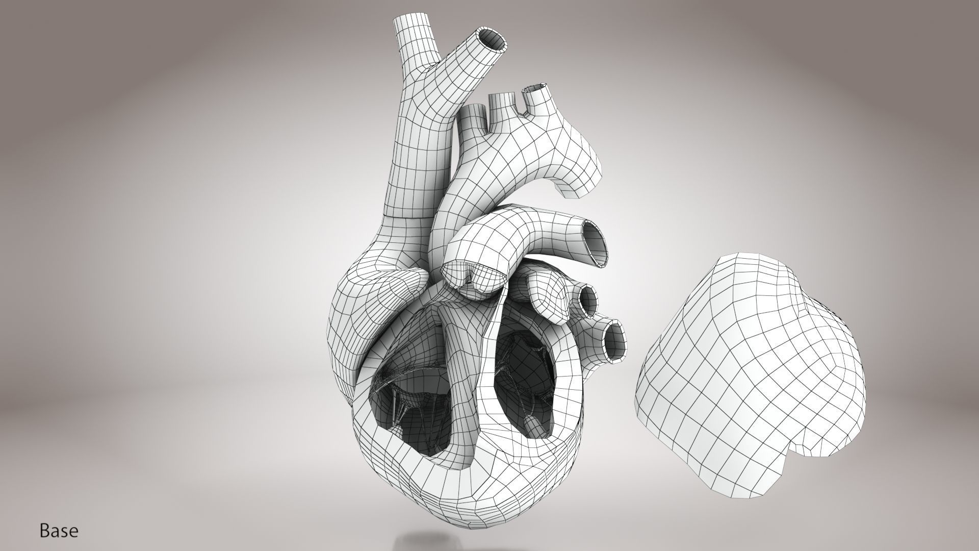 Animated Human Heart Anatomy 8K with cross-section Low-poly 3D model_34