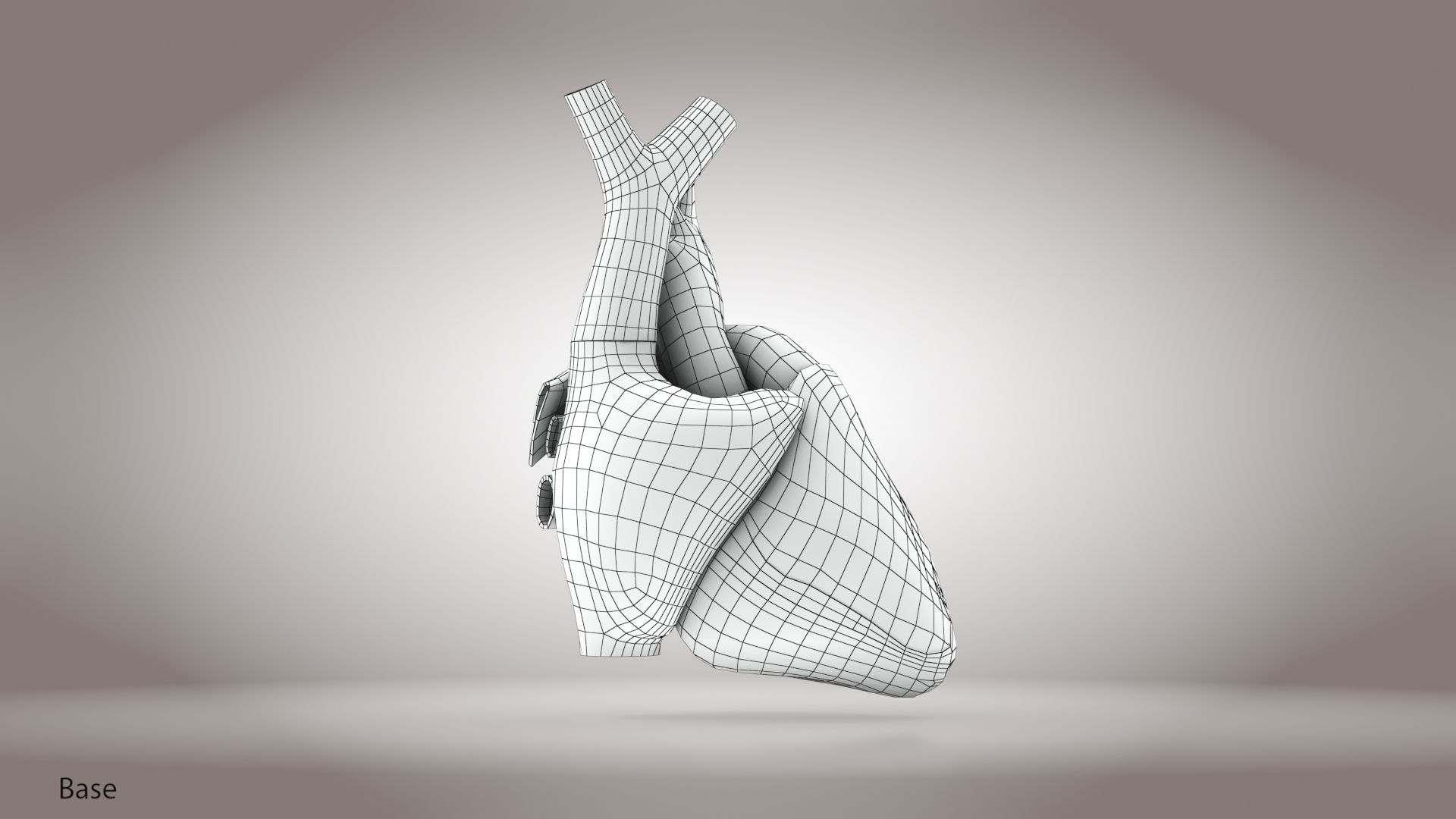 Animated Human Heart Anatomy 8K with cross-section Low-poly 3D model_42