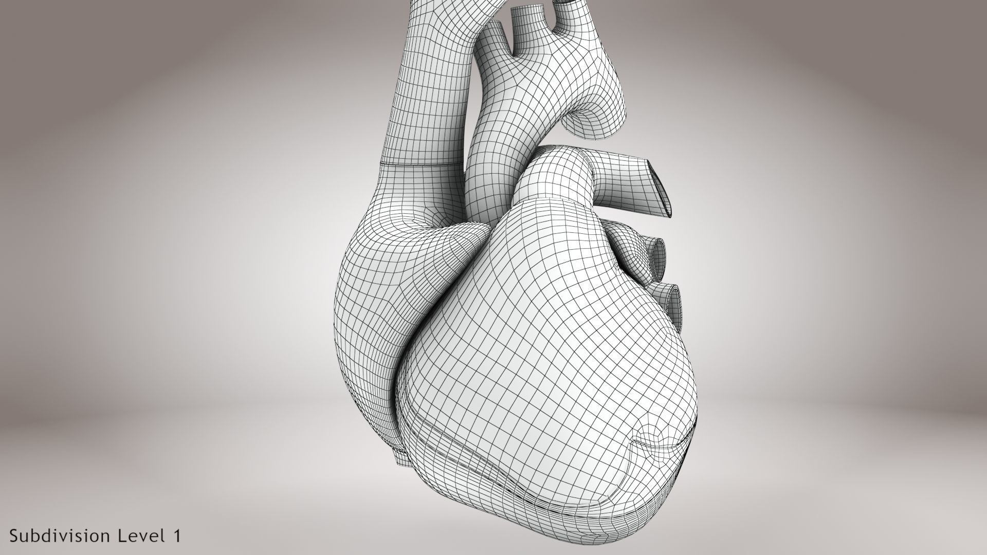 Animated Human Heart Anatomy 8K with cross-section Low-poly 3D model_40