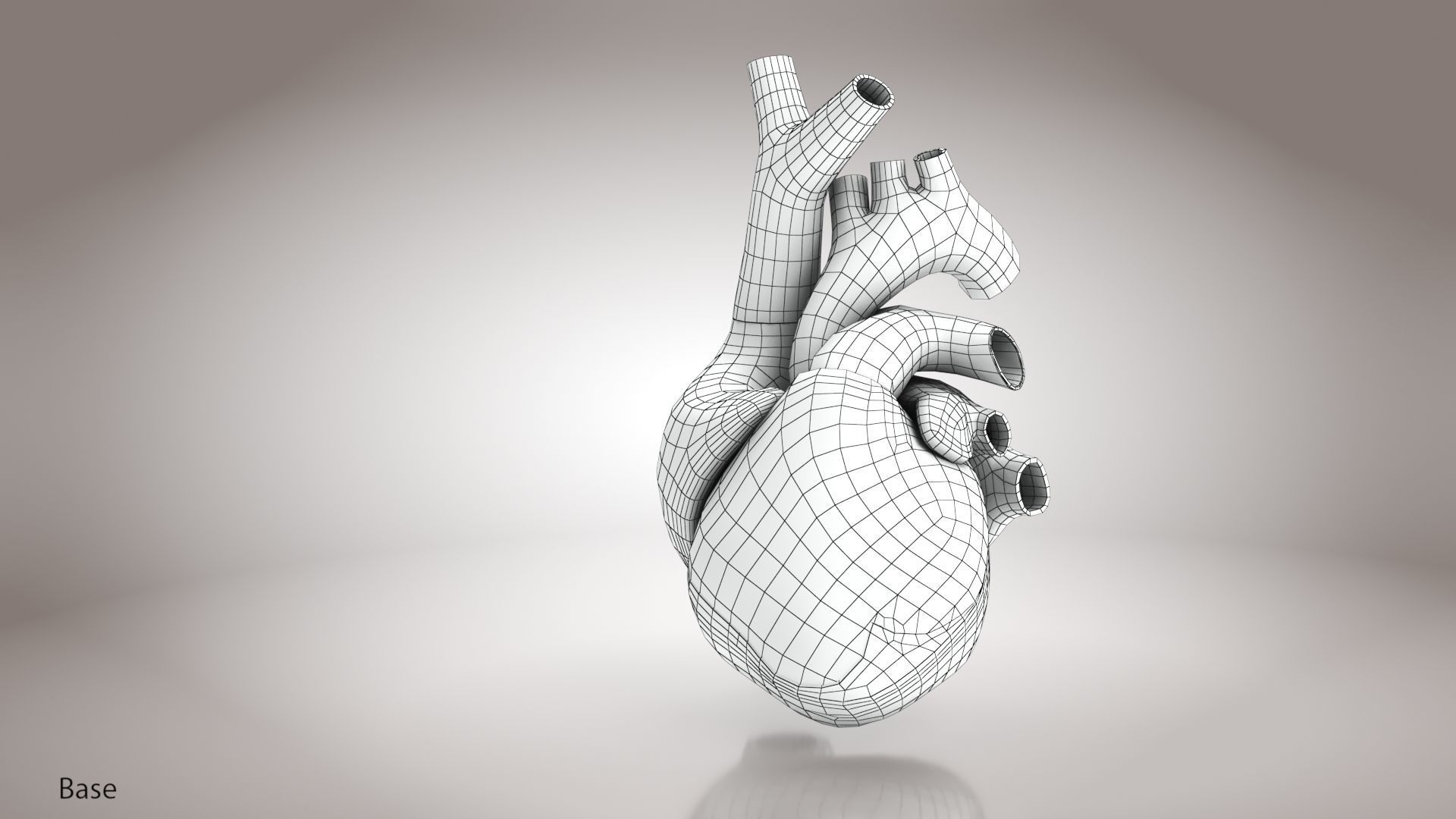 Animated Human Heart Anatomy 8K with cross-section Low-poly 3D model_45