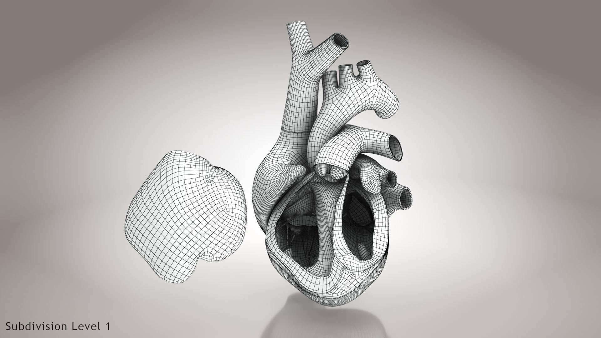 Animated Human Heart Anatomy 8K with cross-section Low-poly 3D model_50