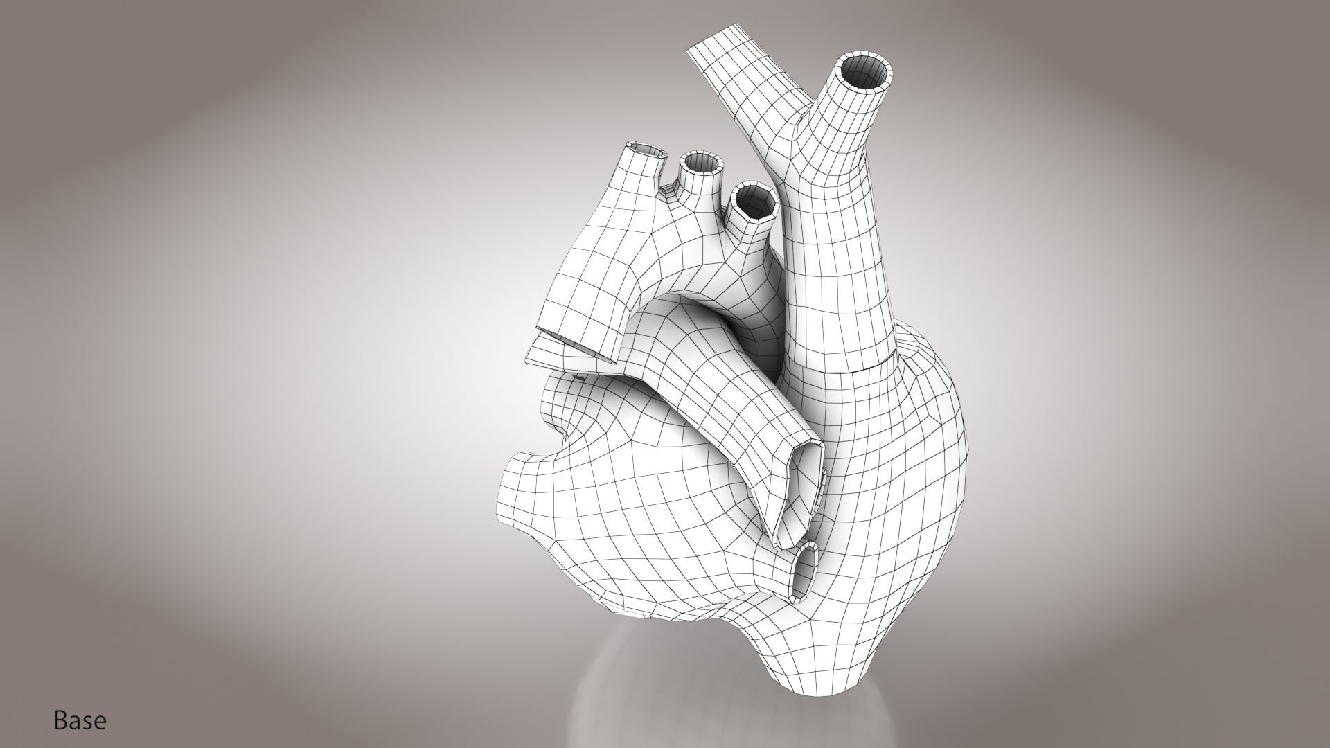 Animated Human Heart Anatomy 8K with cross-section Low-poly 3D model_53