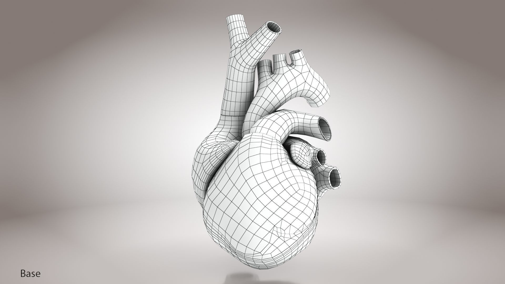 Animated Human Heart Anatomy 8K with cross-section Low-poly 3D model_37
