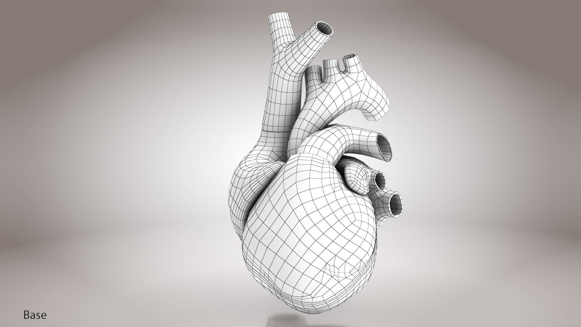 Animated Human Heart Anatomy 8K with cross-section Low-poly 3D model_24
