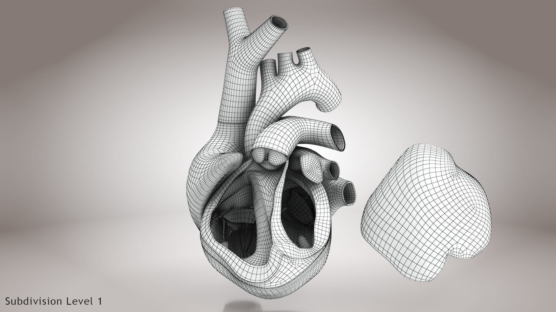 Animated Human Heart Anatomy 8K with cross-section Low-poly 3D model_33