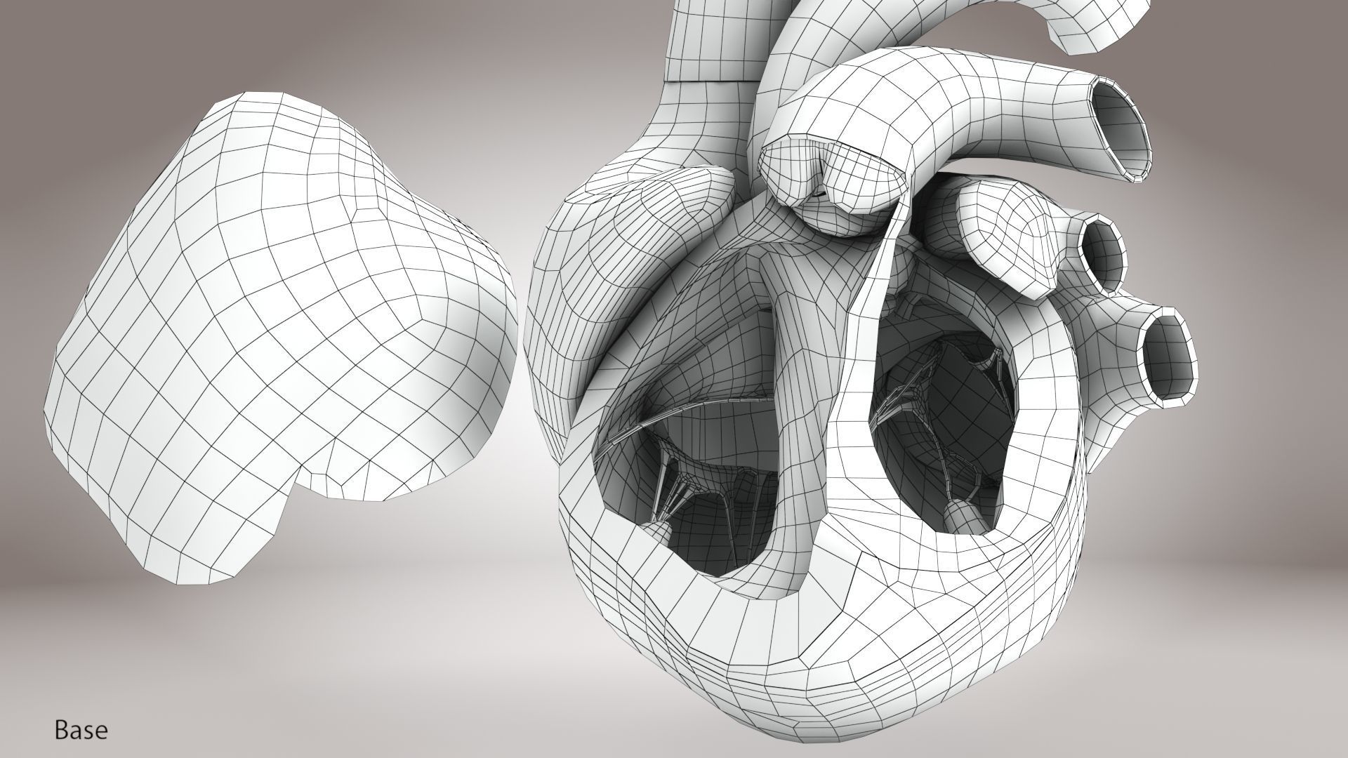 Animated Human Heart Anatomy 8K with cross-section Low-poly 3D model_32