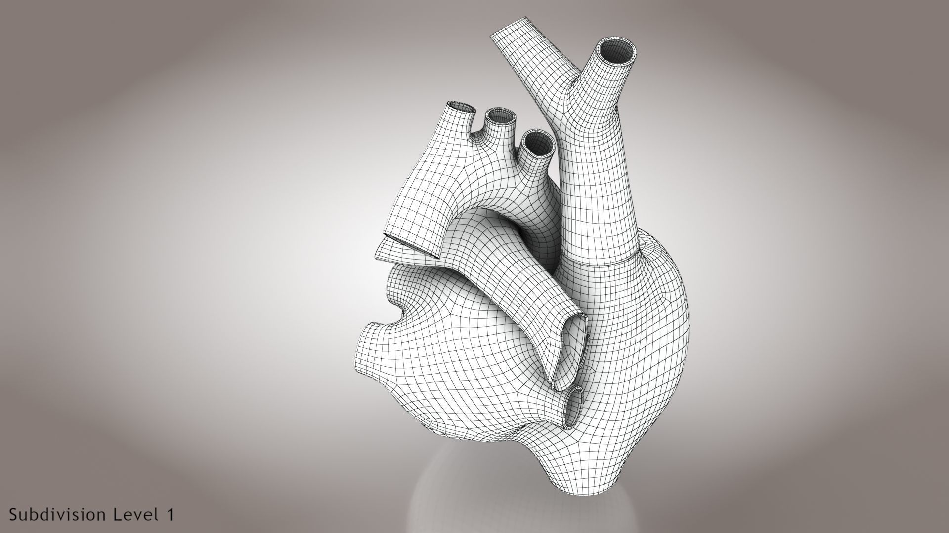 Animated Human Heart Anatomy 8K with cross-section Low-poly 3D model_54