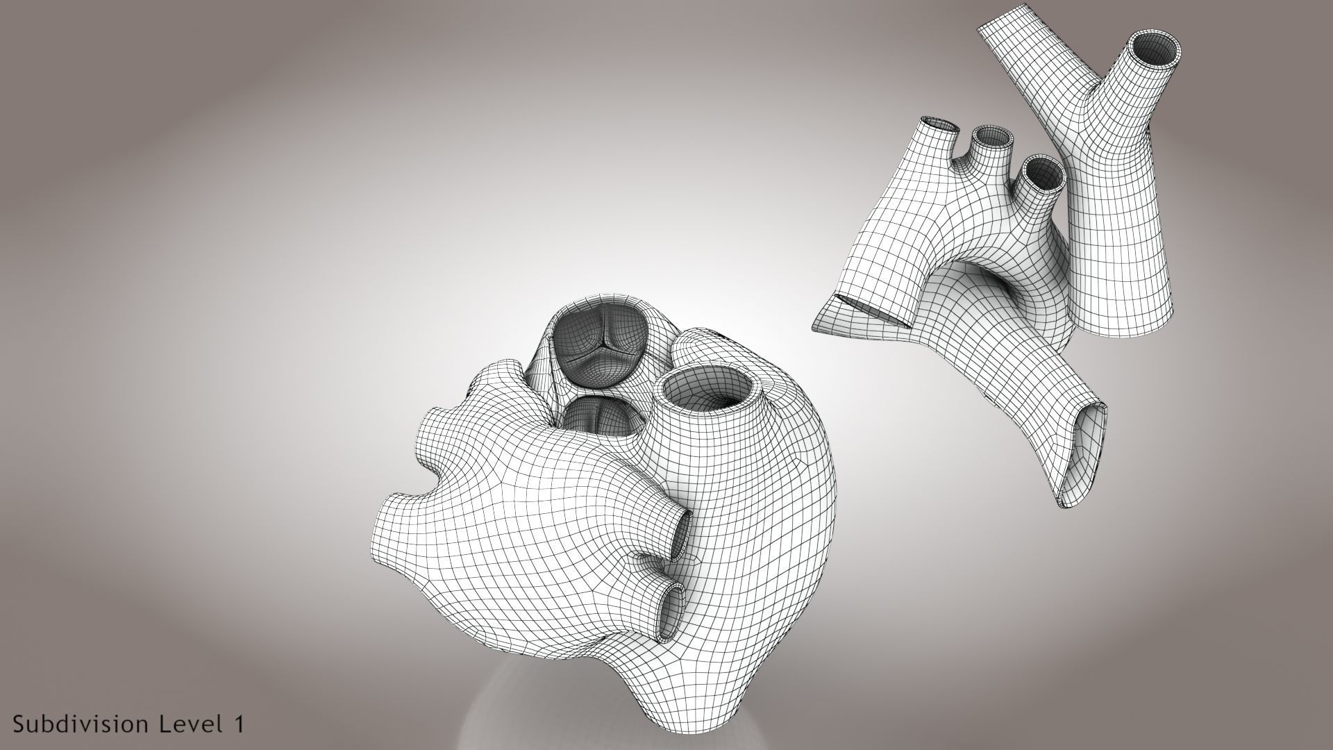 Animated Human Heart Anatomy 8K with cross-section Low-poly 3D model_39