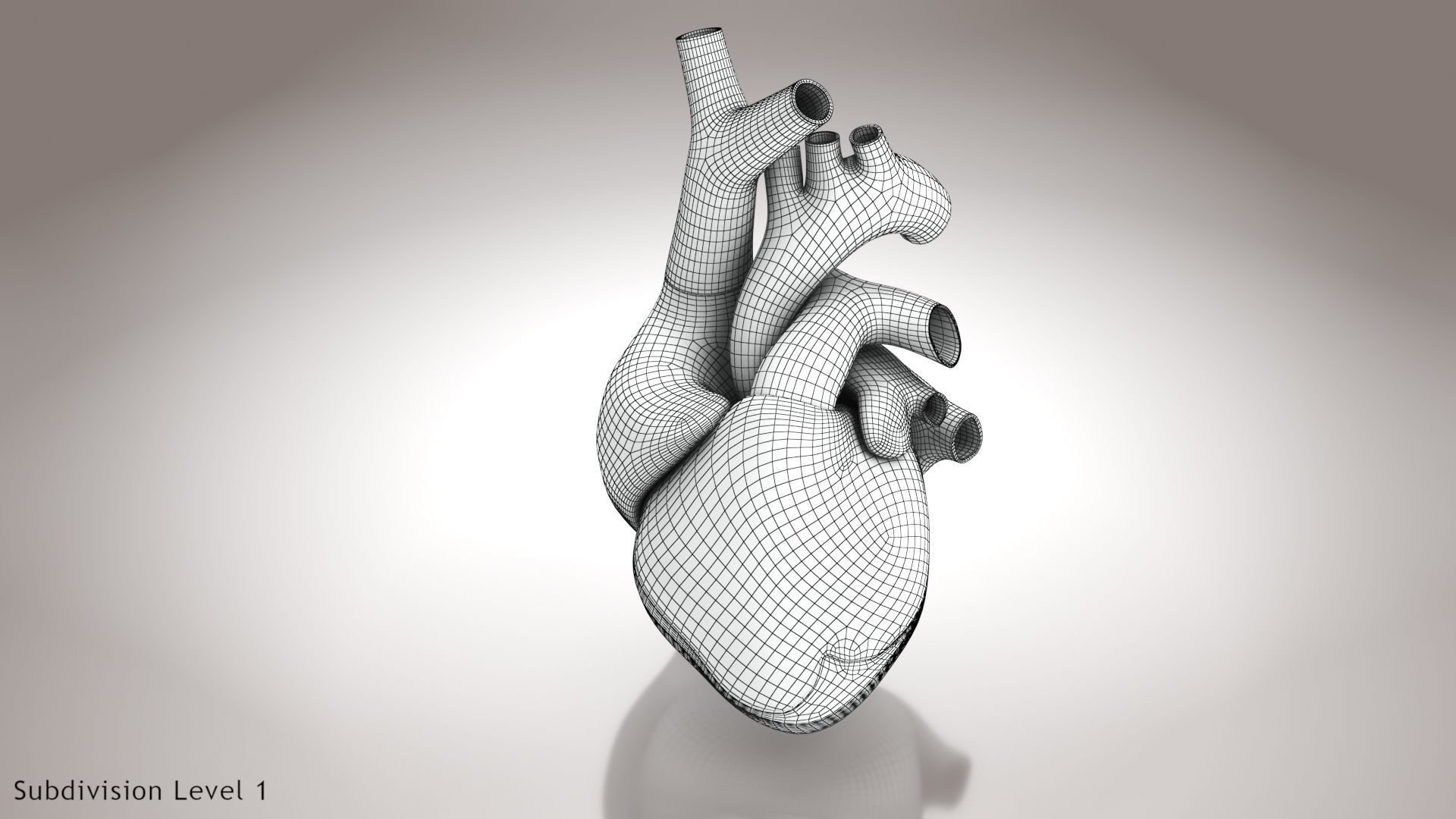 Animated Human Heart Anatomy 8K with cross-section Low-poly 3D model_48